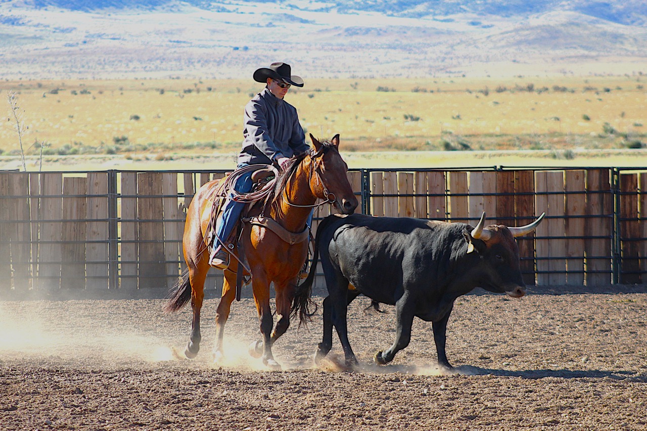 SR Classic Joe (Leroy) - Image 6