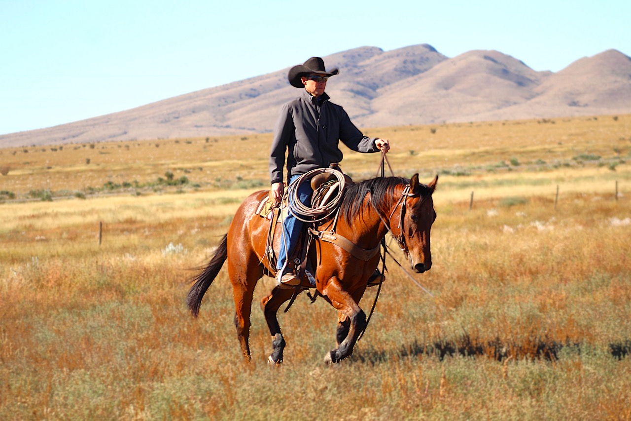 SR Classic Joe (Leroy) - Image 7