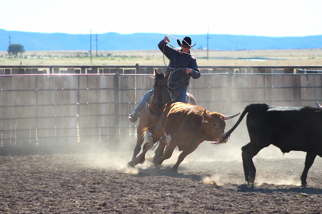 SR Classic Joe (Leroy) - Image 8