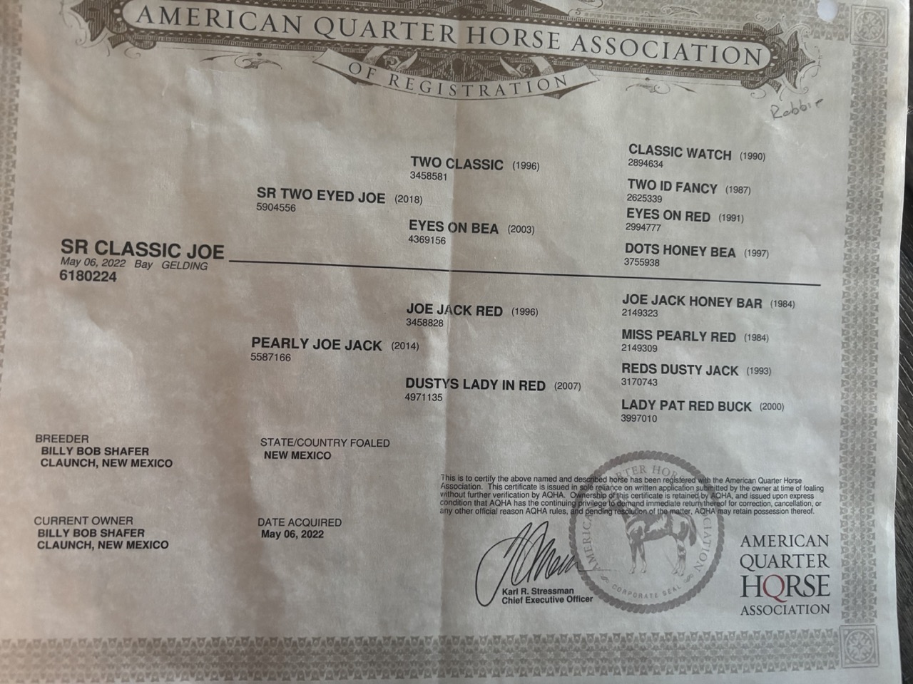 SR Classic Joe (Leroy) - Image 14