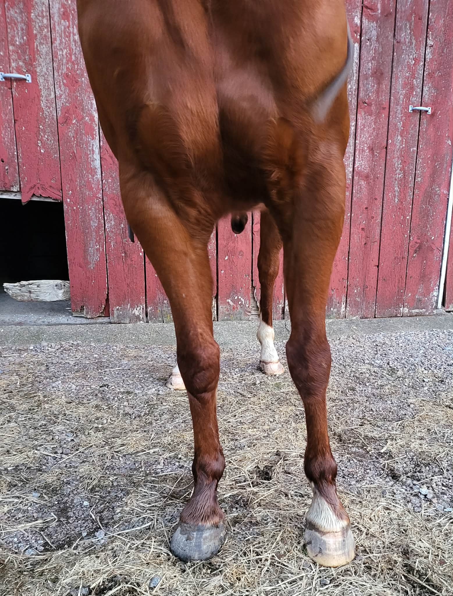 Chics Love Metallica - Image 12