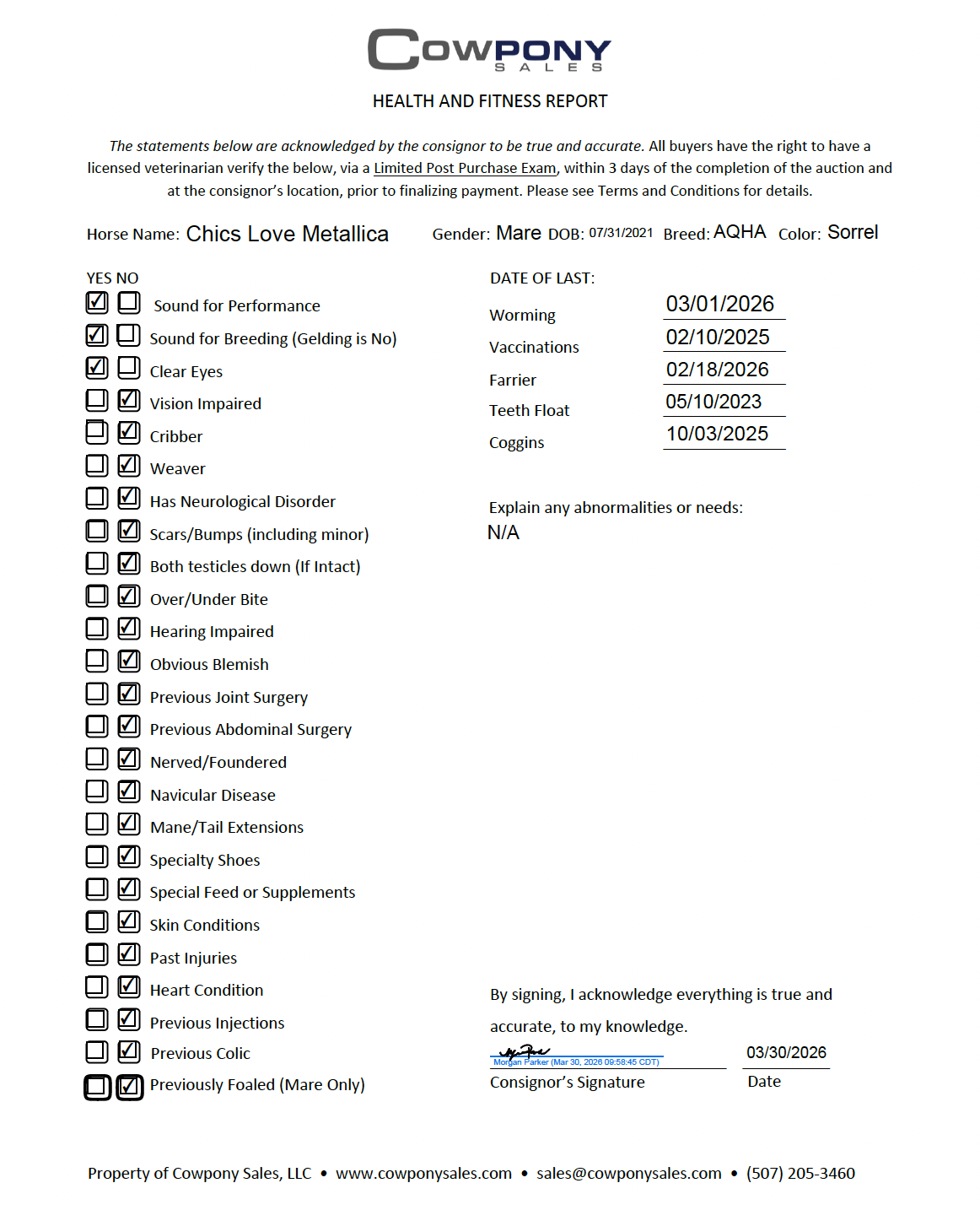 Chics Love Metallica - Image 19