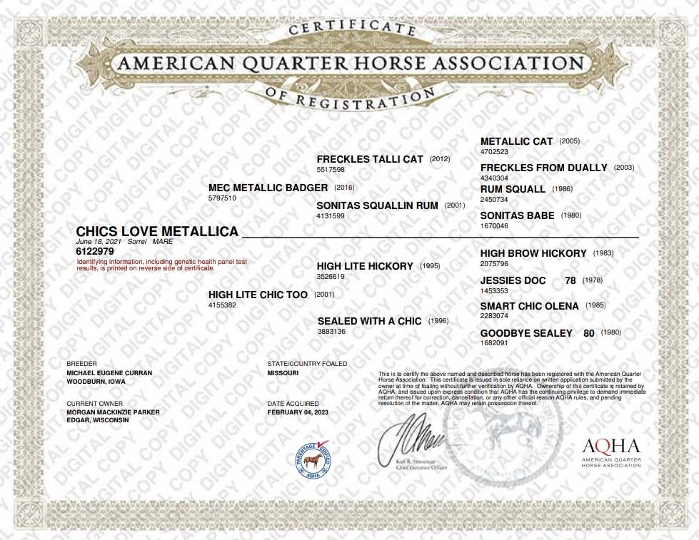 Chics Love Metallica - Image 20