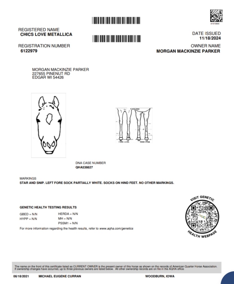 Chics Love Metallica - Image 21