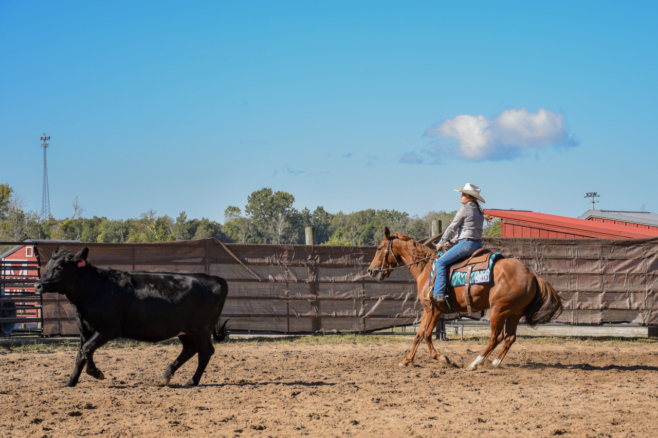 Chics Love Metallica - Image 2
