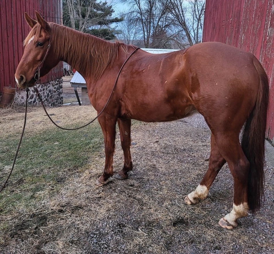 Chics Love Metallica - Image 10