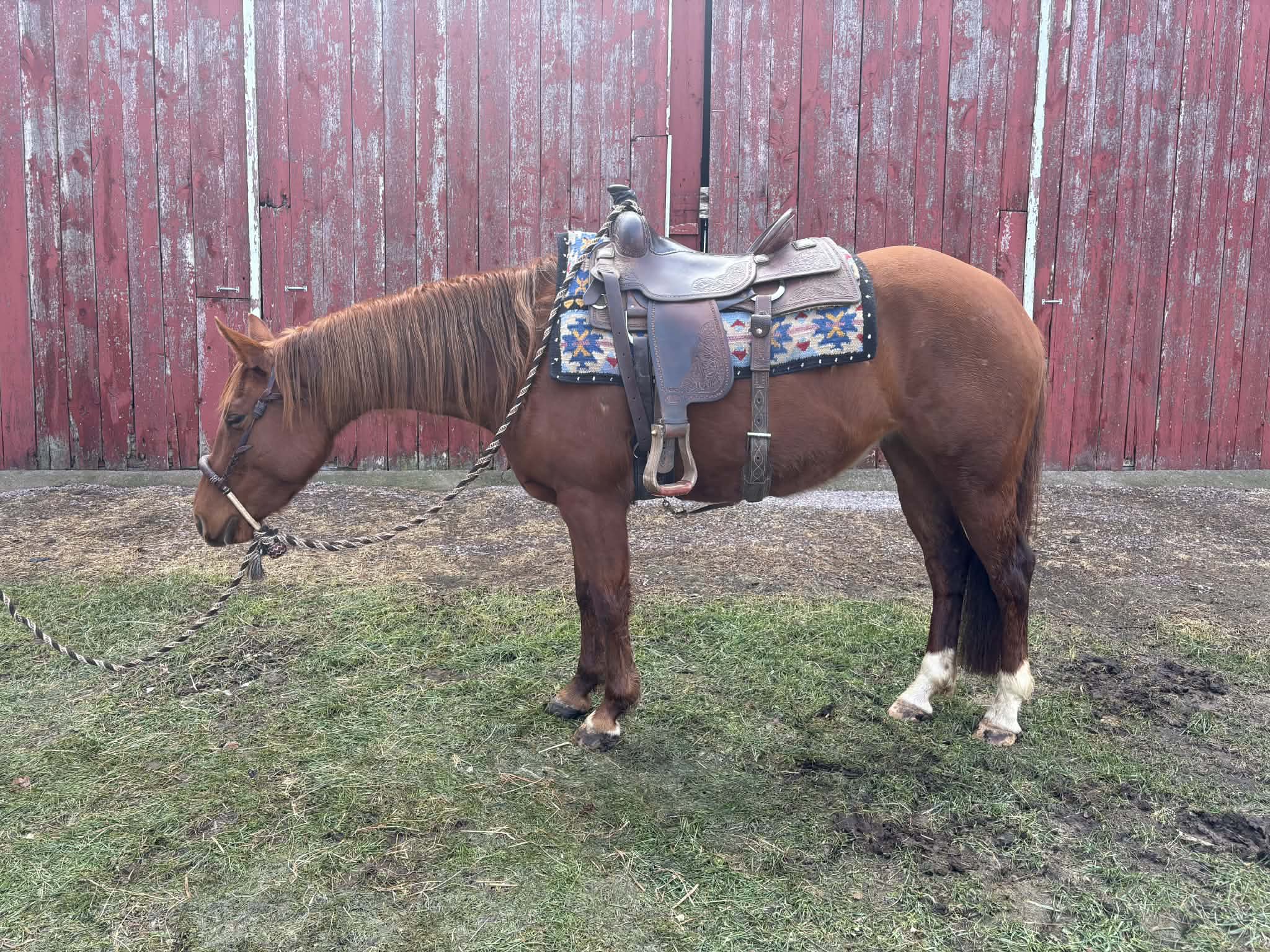 Chics Love Metallica - Image 11