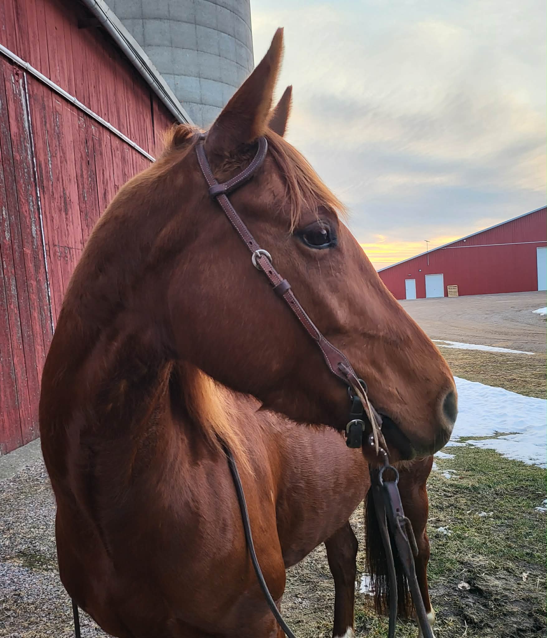 Chics Love Metallica - Image 14