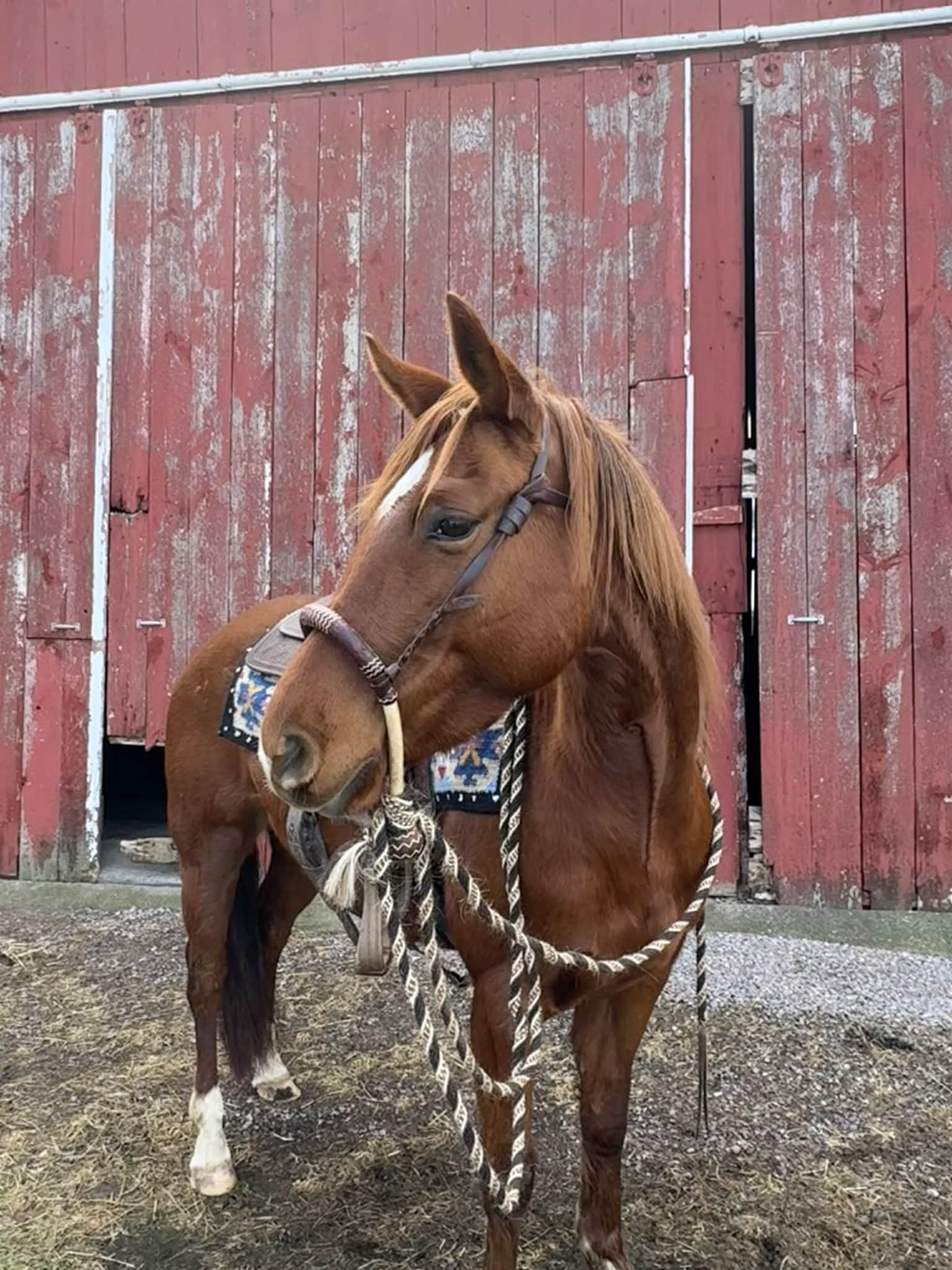 Chics Love Metallica - Image 15