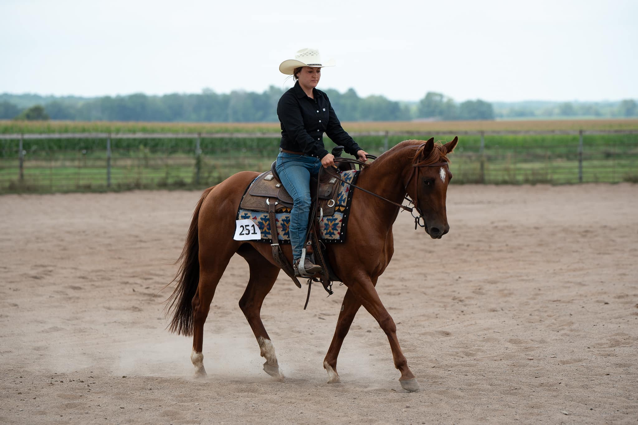 Chics Love Metallica