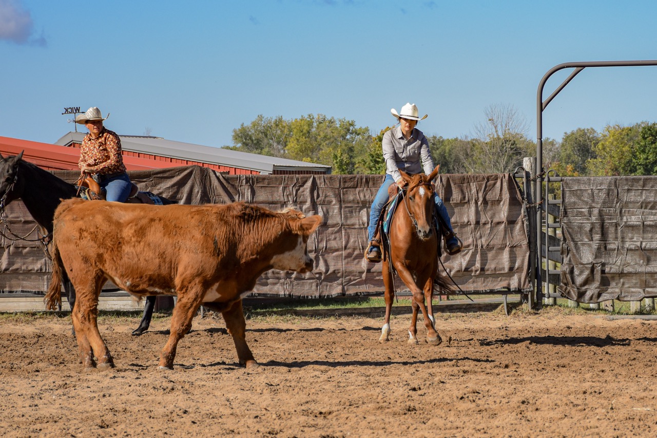 Chics Love Metallica - Image 3