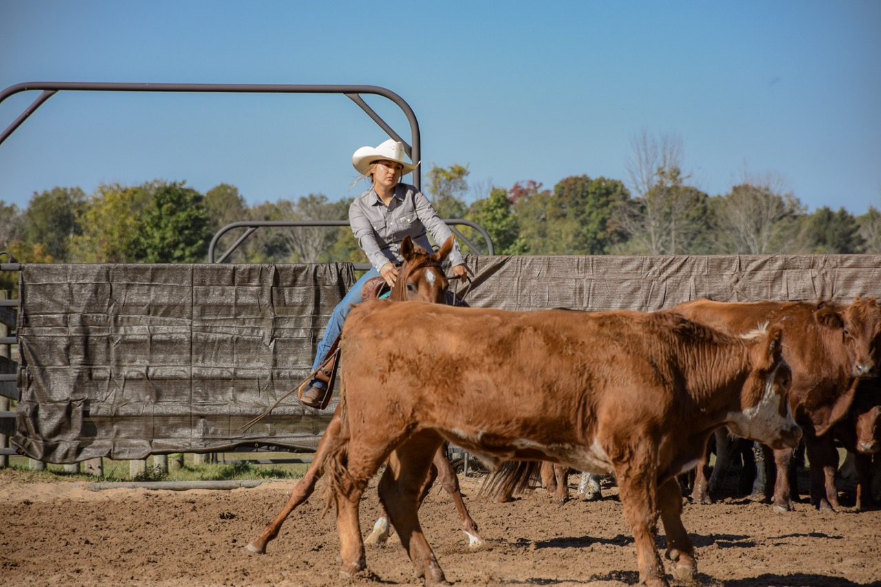 Chics Love Metallica - Image 4