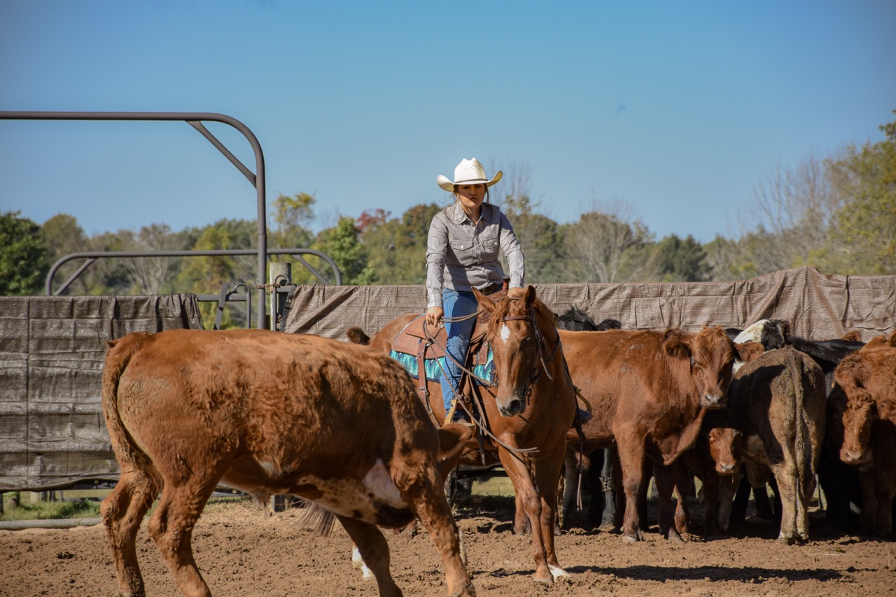 Chics Love Metallica - Image 5