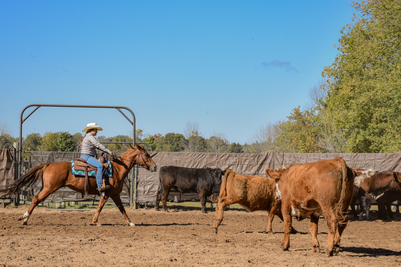 Chics Love Metallica - Image 6