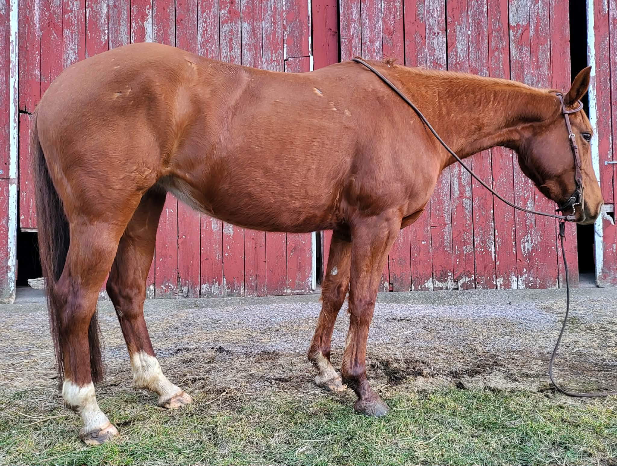 Chics Love Metallica - Image 9